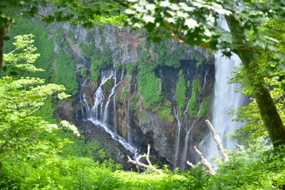 DSC_3956 (Large).JPG